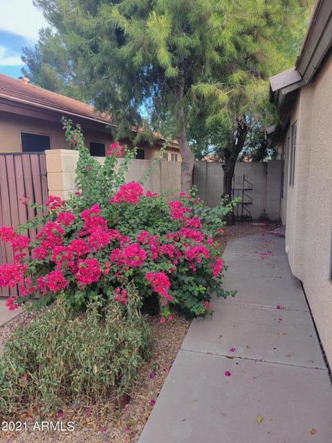 2253 E Arabian Dr, Gilbert, AZ 85296 photo 3