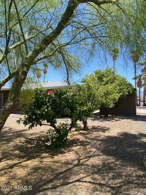 1576 S Royal Palm Rd, Apache Junction, AZ 85119 photo 5
