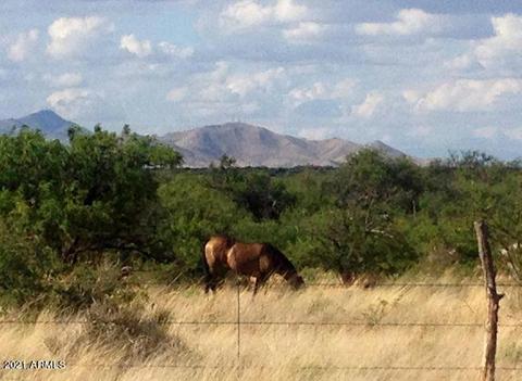 lot53 E De Vaca Cir #53, Saint David, AZ 85630 photo 11