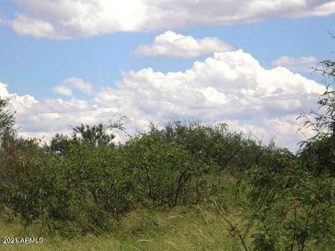 lot53 E De Vaca Cir #53, Saint David, AZ 85630 photo 6