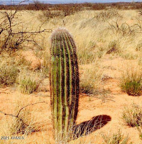 lot53 E De Vaca Cir #53, Saint David, AZ 85630 photo 7