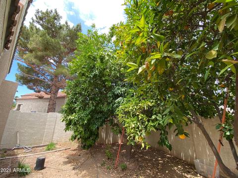 4024 E Sunnyside Dr, Phoenix, AZ 85028 photo 44