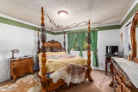 8950 E Decatur Rd, Mesa, AZ 85207 photo 16