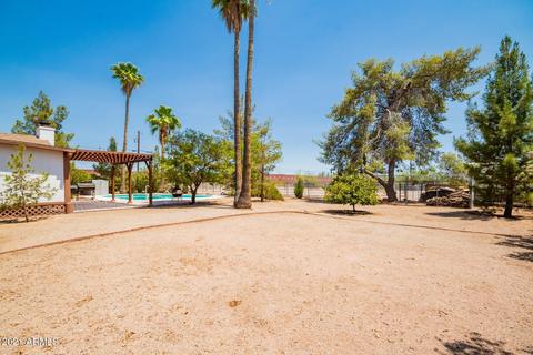 8950 E Decatur Rd, Mesa, AZ 85207 photo 21