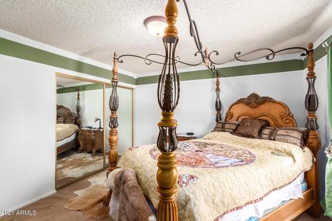 8950 E Decatur Rd, Mesa, AZ 85207 photo 18