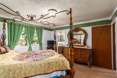 8950 E Decatur Rd, Mesa, AZ 85207 photo 17