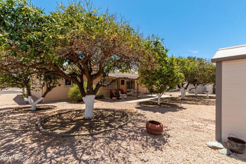 6530 E Adobe Rd, Mesa, AZ 85205 photo 23