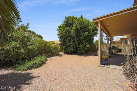 2937 E Blackhawk Dr, Phoenix, AZ 85050 photo 28