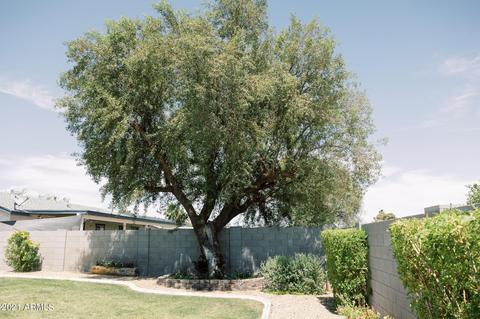 3807 E Joan De Arc Ave, Phoenix, AZ 85032 photo 49
