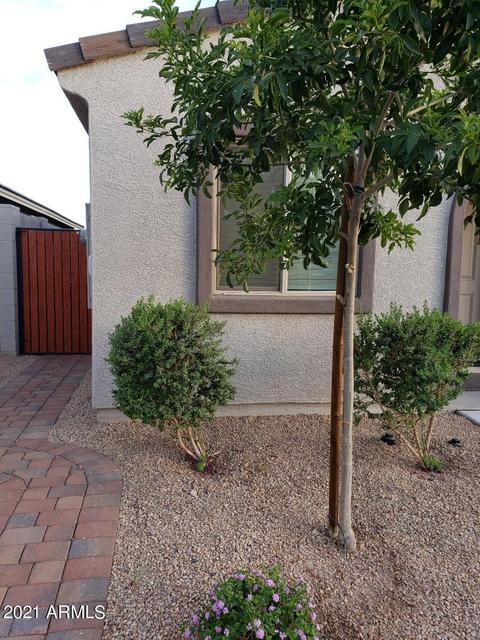 1871 W Stagecoach St, Apache Junction, AZ 85120 photo 43