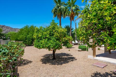 4520 E Horseshoe Rd, Phoenix, AZ 85028 photo 40
