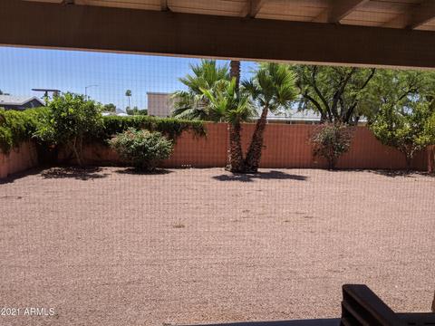 3335 E Kelton Ln, Phoenix, AZ 85032 photo 17