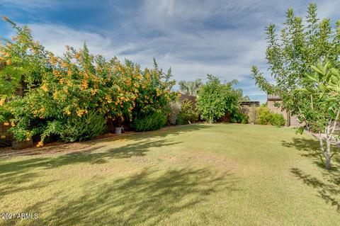 10644 E Stearn Ave, Mesa, AZ 85212 photo 32