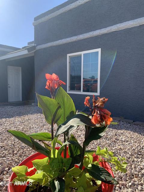 1238 E Mclellan Rd, Mesa, AZ 85203 photo 3