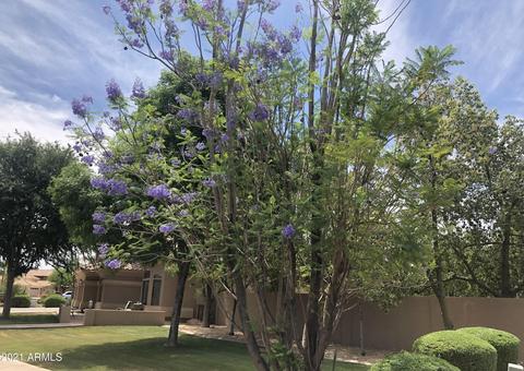 2120 S Boulder Ct, Gilbert, AZ 85295 photo 44