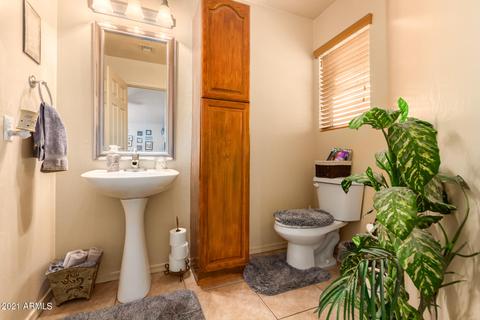 7364 E Lobo Ave, Mesa, AZ 85209 photo 19