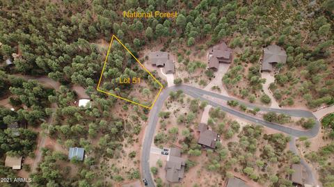 51 Forest Trail Ct #51, Pine, AZ 85544