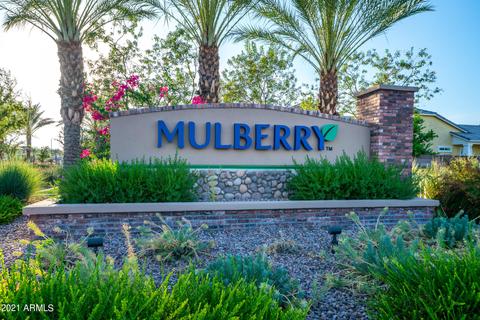 10558 E Monterey Ave, Mesa, AZ 85209 photo 61