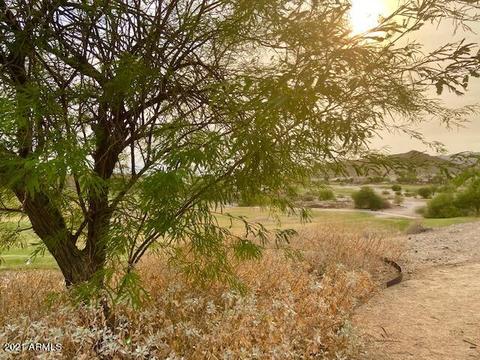 2136 E Nighthawk Way, Phoenix, AZ 85048 photo 51