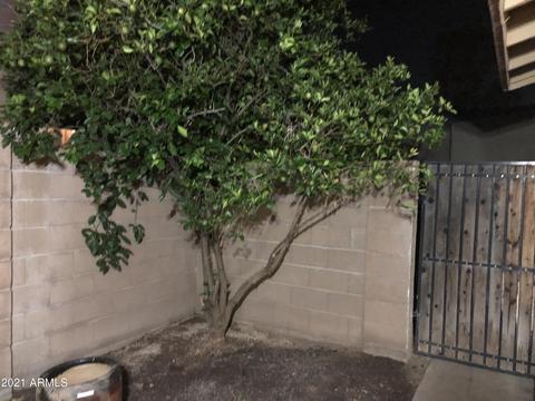 910 S Melody Ln, Tempe, AZ 85281 photo 25