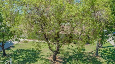 1818 E Rovey Ave, Phoenix, AZ 85016 photo 49