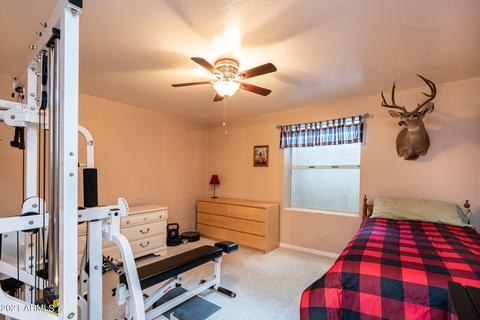 4611 E Garnet Cir, Mesa, AZ 85206 photo 51