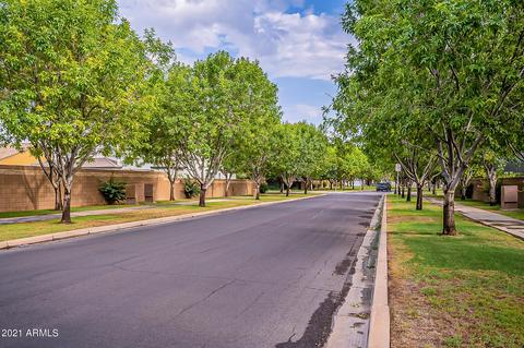 3642 E Robin Ln, Gilbert, AZ 85296 photo 55