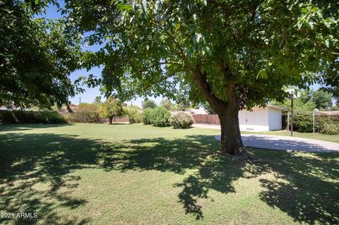 7333 N 16th Ave, Phoenix, AZ 85021 photo 23