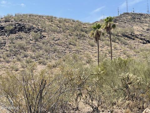 813 W Thunderbird Rd, Phoenix, AZ 85023 photo 36