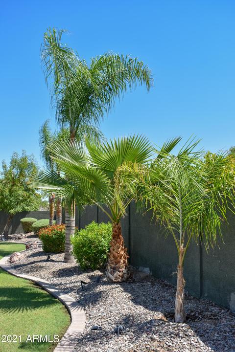 4156 E Ravenswood Dr, Gilbert, AZ 85298 photo 30