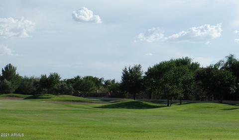9926 E Lobo Ave, Mesa, AZ 85209 photo 44