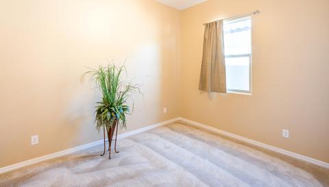 5434 S Forest Ave, Gilbert, AZ 85298 photo 12