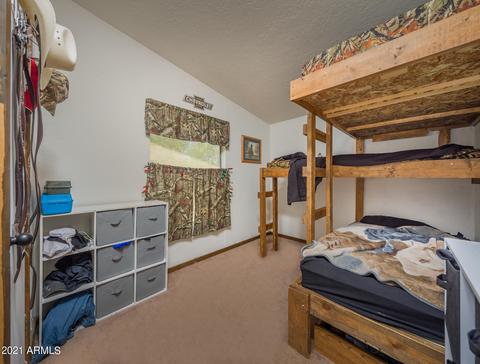 1130 E Morris Ln, Benson, AZ 85602 photo 11