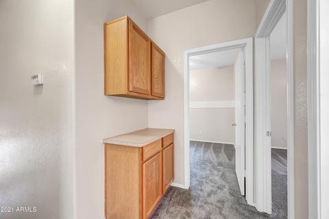 2530 E Taro Ln, Phoenix, AZ 85050 photo 30