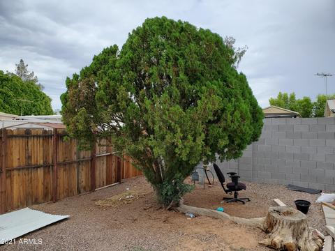 7529 E Arbor Ave, Mesa, AZ 85208 photo 13