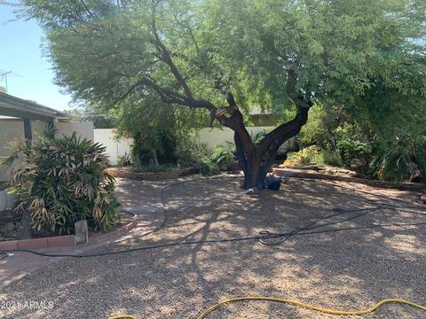 1152 E 7th Pl, Mesa, AZ 85203 photo 16