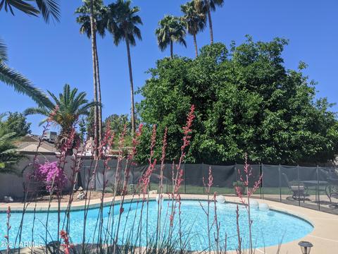 4527 E Sandra Ter, Phoenix, AZ 85032 photo 26