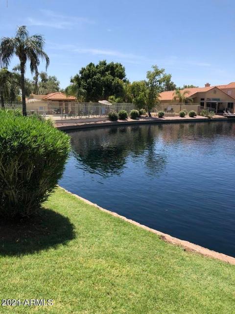 425 E Page Ave, Gilbert, AZ 85234 photo 61