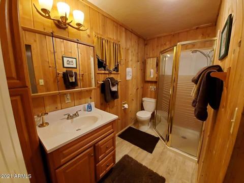 2001 Judy Ranch Rd, Overgaard, AZ 85933 photo 23
