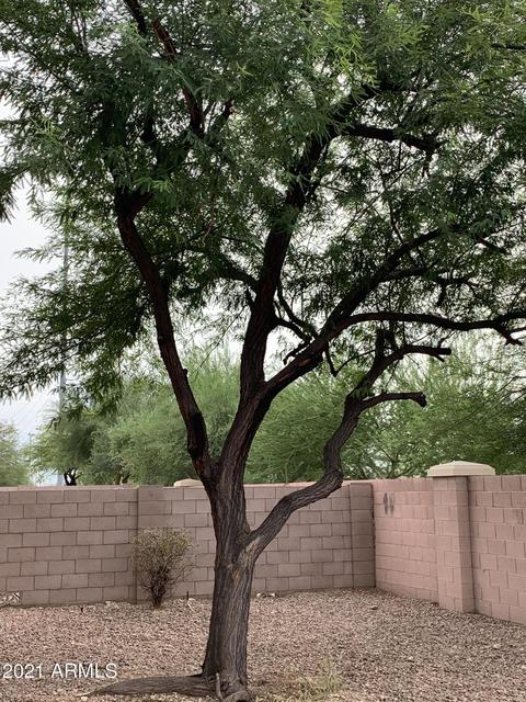 1201 Escuda Dr, Phoenix, AZ 85024 photo 4