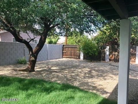 4234 E Desert Cactus St, Phoenix, AZ 85032 photo 18