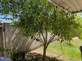 3529 E Piccadilly Rd, Phoenix, AZ 85018 photo 9