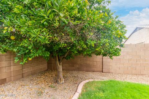 1094 E Temple Ct, Gilbert, AZ 85296 photo 21