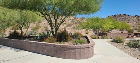 21146 W Edgemont Ave, Buckeye, AZ 85396 photo 8