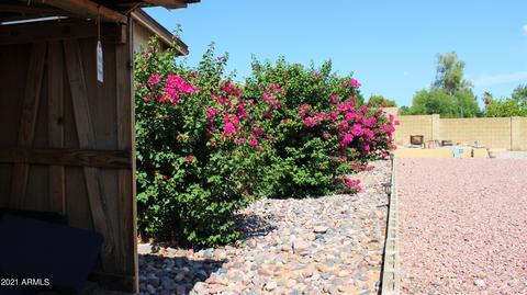 4852 E Fairfield St, Mesa, AZ 85205 photo 21