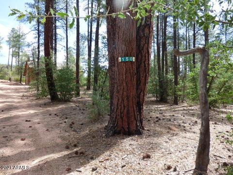 150 E Kit Fox Pass Pass, Payson, AZ 85541 photo 25