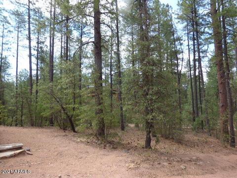 150 E Kit Fox Pass Pass, Payson, AZ 85541 photo 23