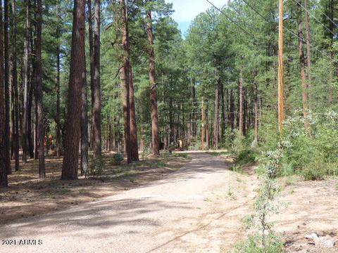150 E Kit Fox Pass Pass, Payson, AZ 85541 photo 27