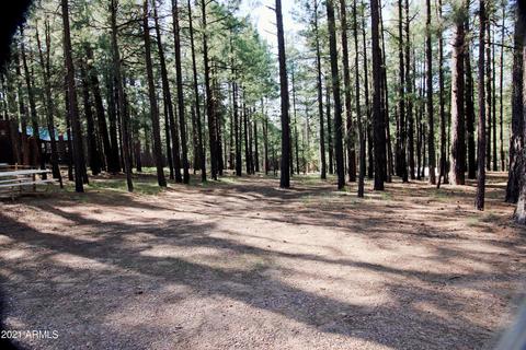 2912 Summer Loop, Forest Lakes, AZ 85931 photo 26