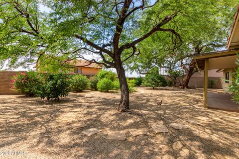 817 E Meadow Ln, Phoenix, AZ 85022 photo 26